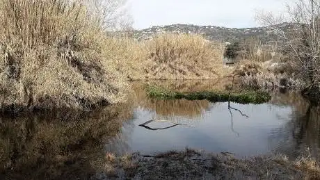 Photo de Bassa del DofÃ­
