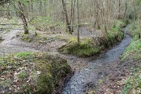Photo de Padmall Wood