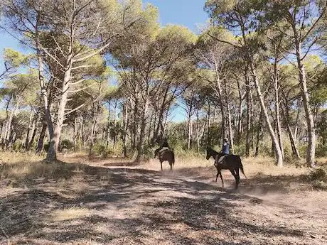 Maneggio Il Ginepro Serralonga