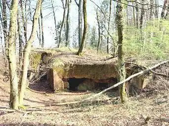 Der Frohn-Wald-Weg (Premiumwanderweg)