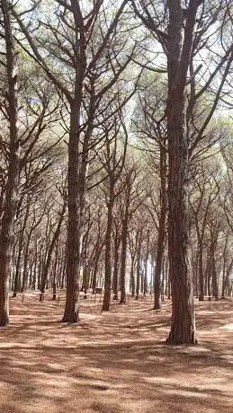 Photo de Riserva naturale Tomboli di Cecina INGRESSO CASA DEL PASTORE
