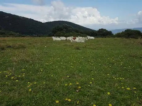 Rifugio dei prati di Finocchieto