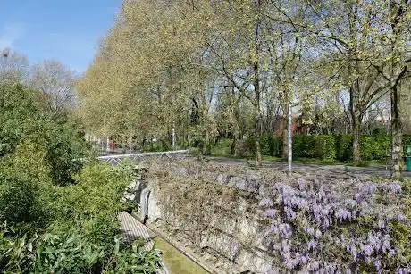 Photo de Jardin des Bambous