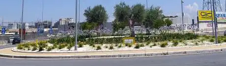 Photo de Rotatoria degli ulivi e dei melograni