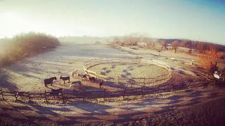 Photo de Ferme pédagogique - Les crins de Django