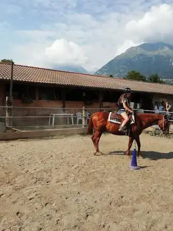 ASD Ranch Fiore
