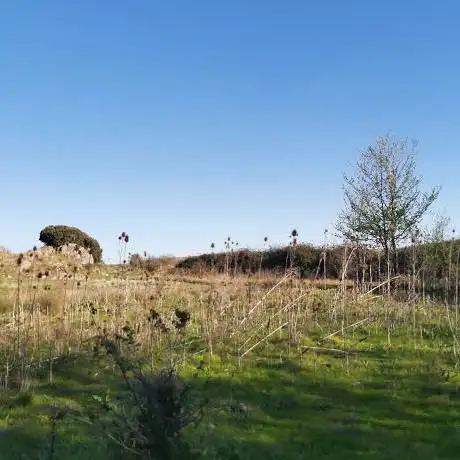 Photo de Camino Natural VÃÂa Verde Valle del Eresma (Segovia - Olmedo)