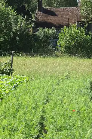 Photo de Le Jardin Dans La Vallée