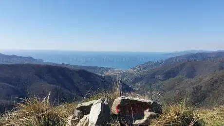 Monte Bello