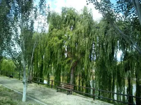 Photo de Parc de la Bassa Roja