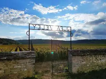 Clos De Bourgogne