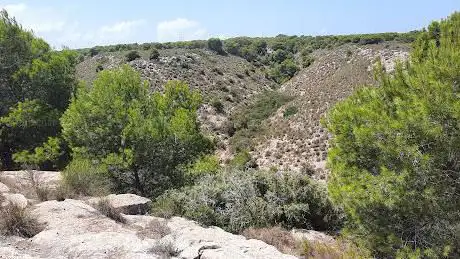 Photo de Cova de la Gota