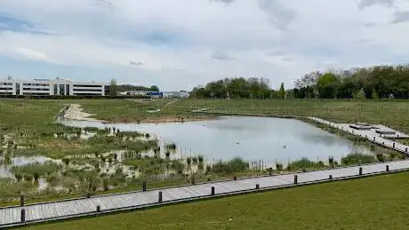 Bassin N 6