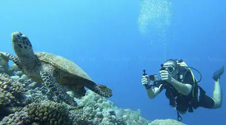Photo de Bucéanos Diving Experience