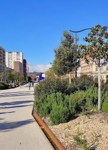 Photo de Ramblas-jardin