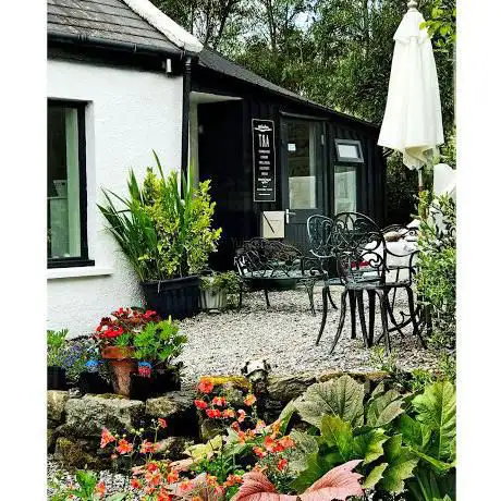 Photo de Cuckoo Tree Art Studio