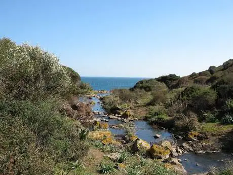 Riu Salighes