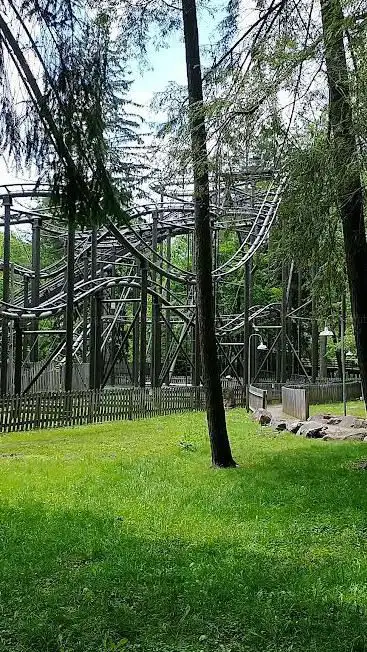 Photo de Wild Mouse (Idlewild)