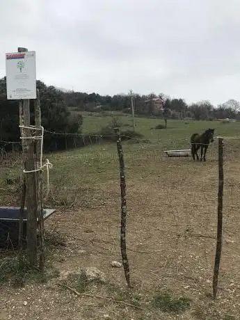 Photo de Pozzo del Merro