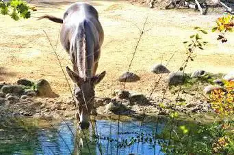 Photo de Zoologischer Garten Basel AG