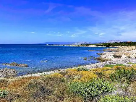 Cala di Vacca