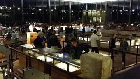 Photo de VESUNNA Gallo-Roman Museum