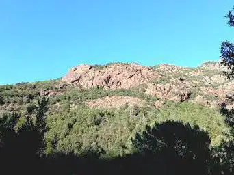 Forêt territoriale du Fango