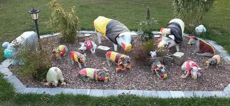 Les cochons de Pousset