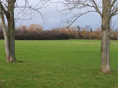 Photo de Bridgewater Road Fields
