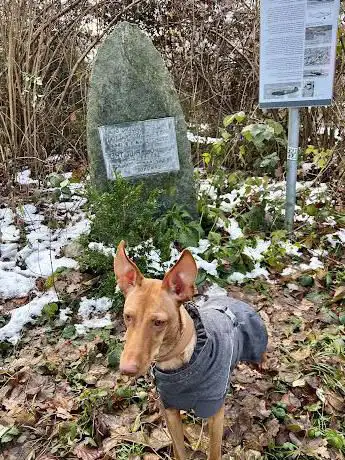 Oberleutnant Paul Treu - Denkmal