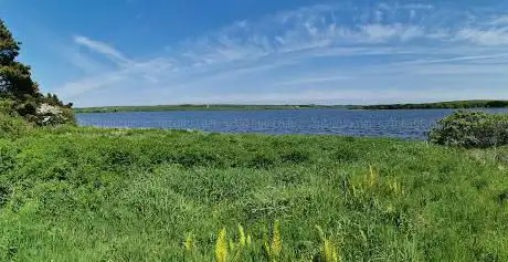 Photo de Llyn Alaw