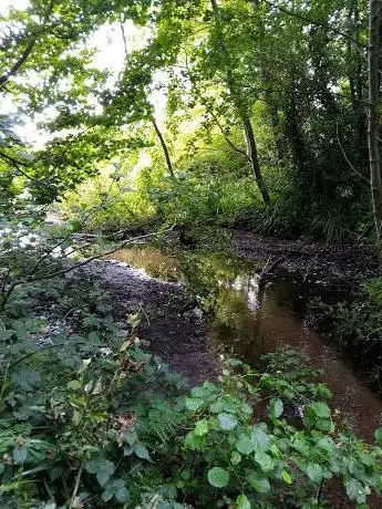 Photo de Bourne Valley