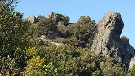 Riserva naturale di Badde Aggiosu  Marrargiu e Monte Mannu