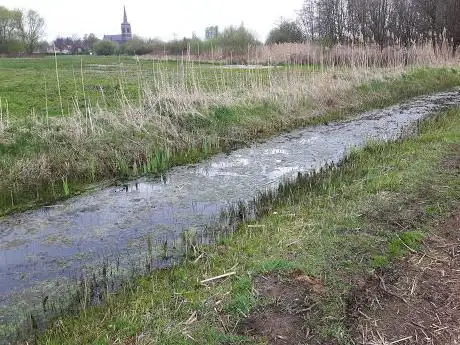Photo de The Verlorenkost