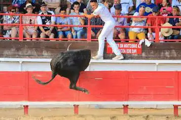 Photo de Arènes Municipales
