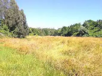 Photo de Parc aux frênes