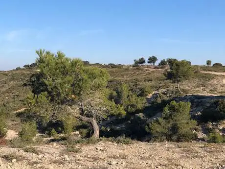 Photo de Le Grand Dévès