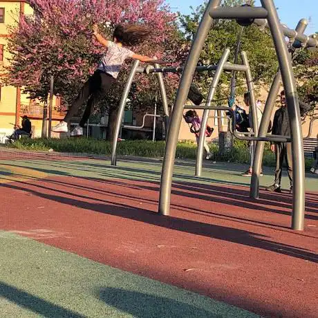 Parco Alessandro Conti