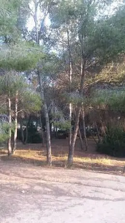 Photo de Rambla La Cañada