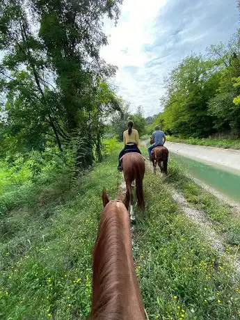 Photo de My Dream Horse Club