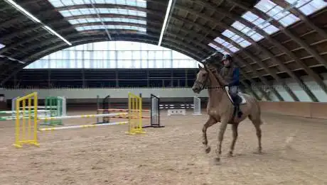 Photo de Haras de Genainville