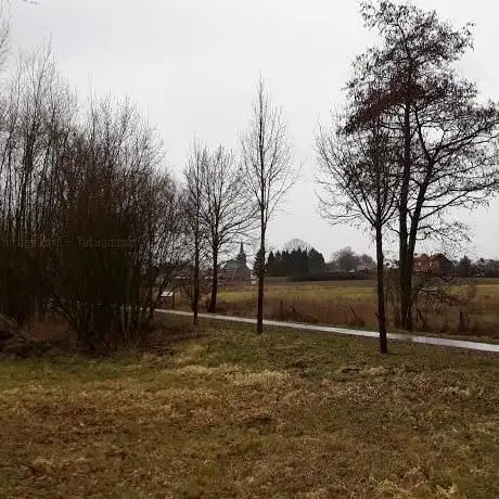 Kasteelsite Butsel