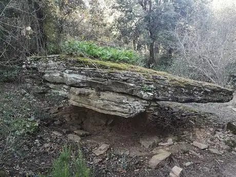 Photo de Roca Barret