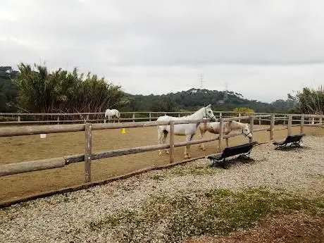 Photo de HÃÂpica granja escuela Equinatura Hr