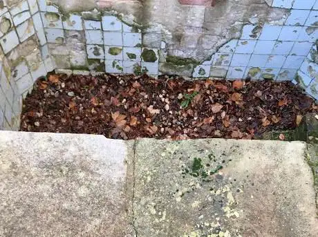 Photo de Queen Caroline's Bath