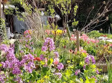 Photo de Comme Une Aut' Terre Garden