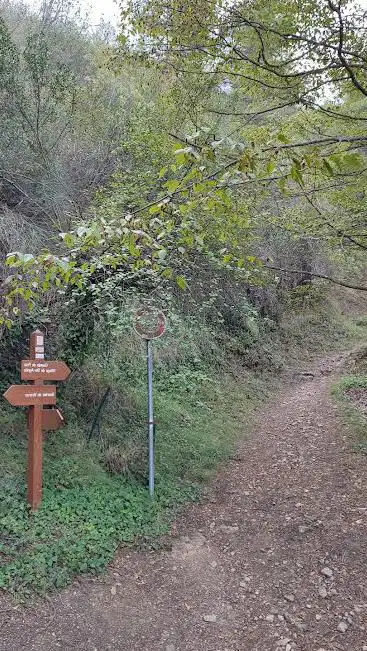 Chemin de Pisa