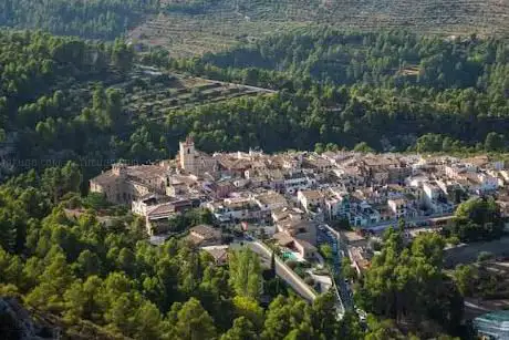 Photo de Castell de Penà guila