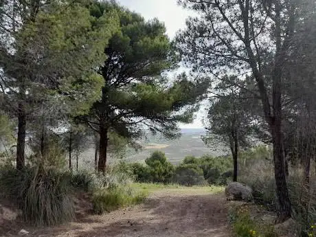 Photo de Bosco Galluzzo