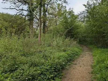 Photo de Bradfield Woods National Nature Reserve